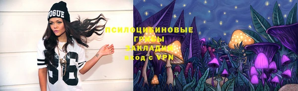 бутират Касимов