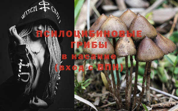 бутират Касимов