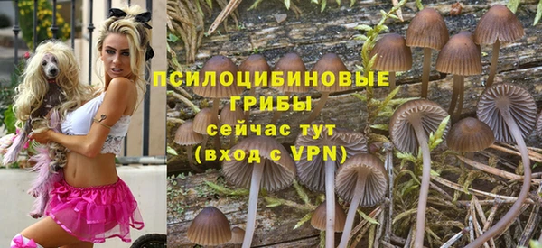 бутират Касимов
