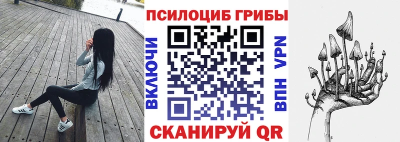 Купить где  Балей  Галлюциногенные грибы Cubensis 